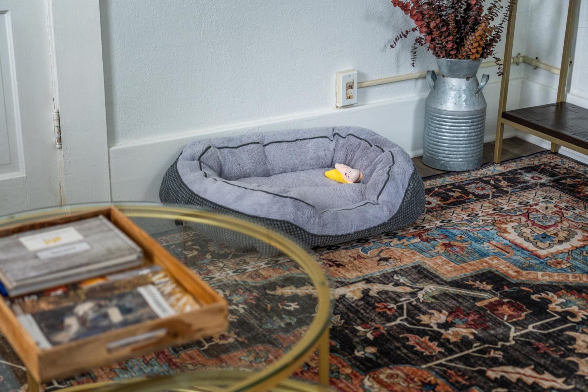 Cedar Blossom Bungalow Is A Cozy Getaway With A 5 Minute Walk To Downtown! Hot Springs Luaran gambar